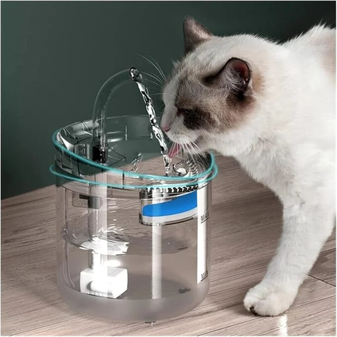 Fuente Automática para Gatos | Agua Fresca 24/7 y Protección Renal